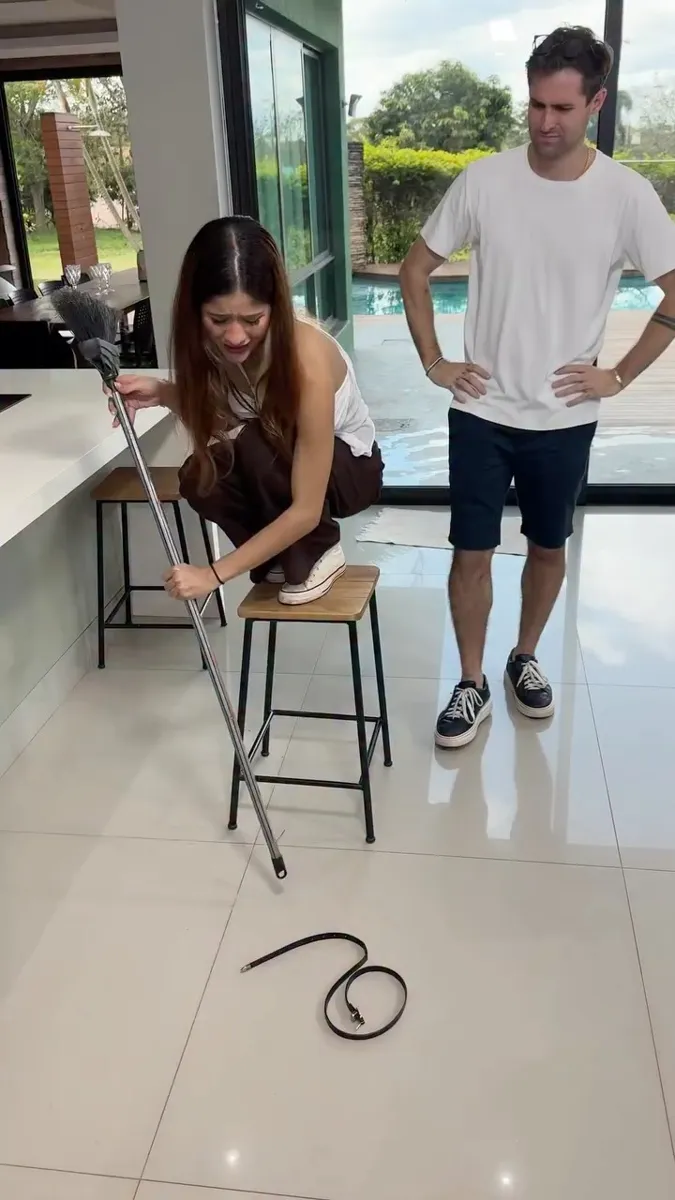 Reel com uma cobra de brinquedo